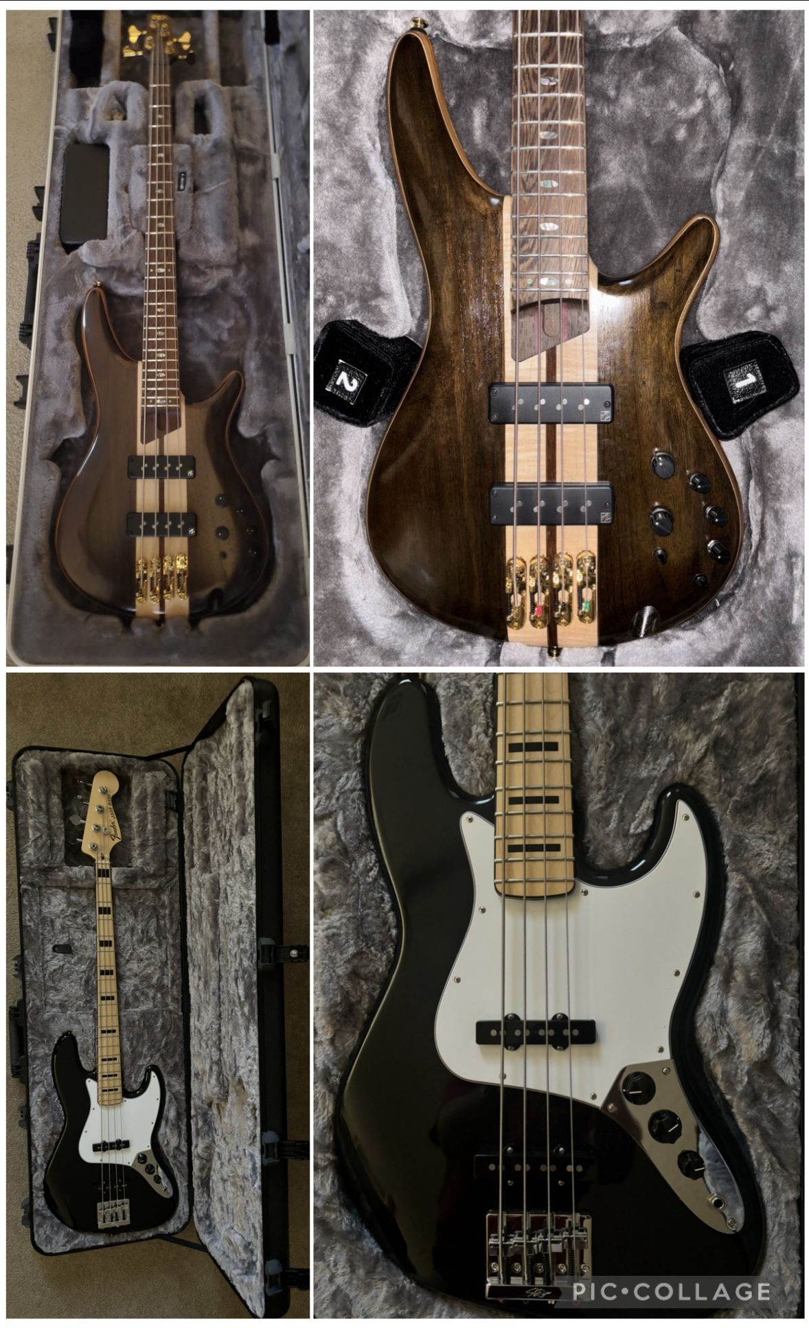 Bass guitars (2)