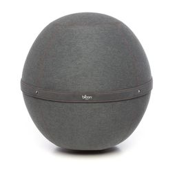Bloon Paris Premium Bloon Waterproof Desk Ball Chair - XL