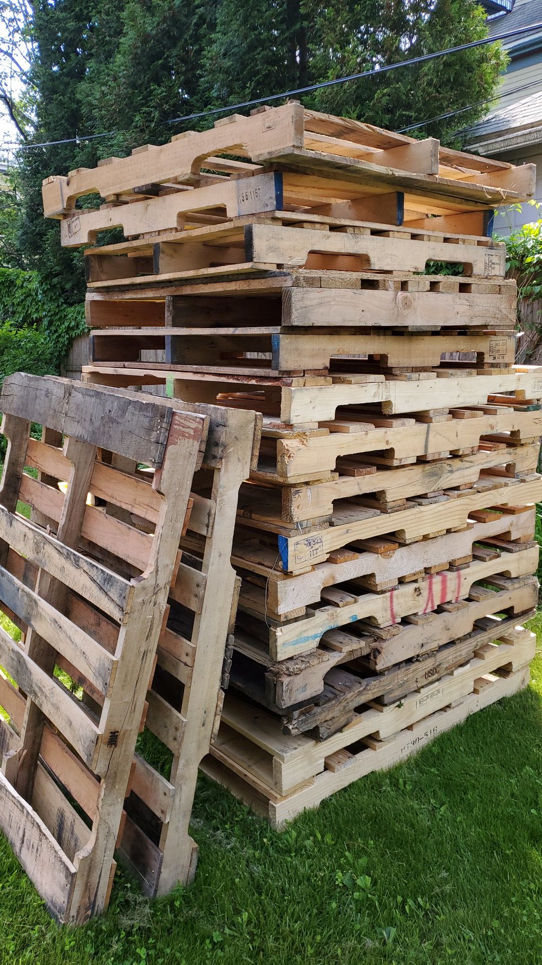 Free wood palettes in Cambridge MA