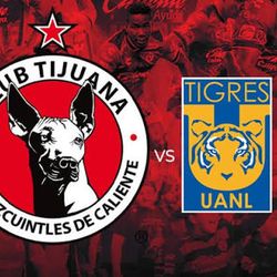 Xolos vs tigres(palco)
