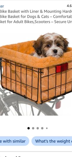 Dog bicycle basket.