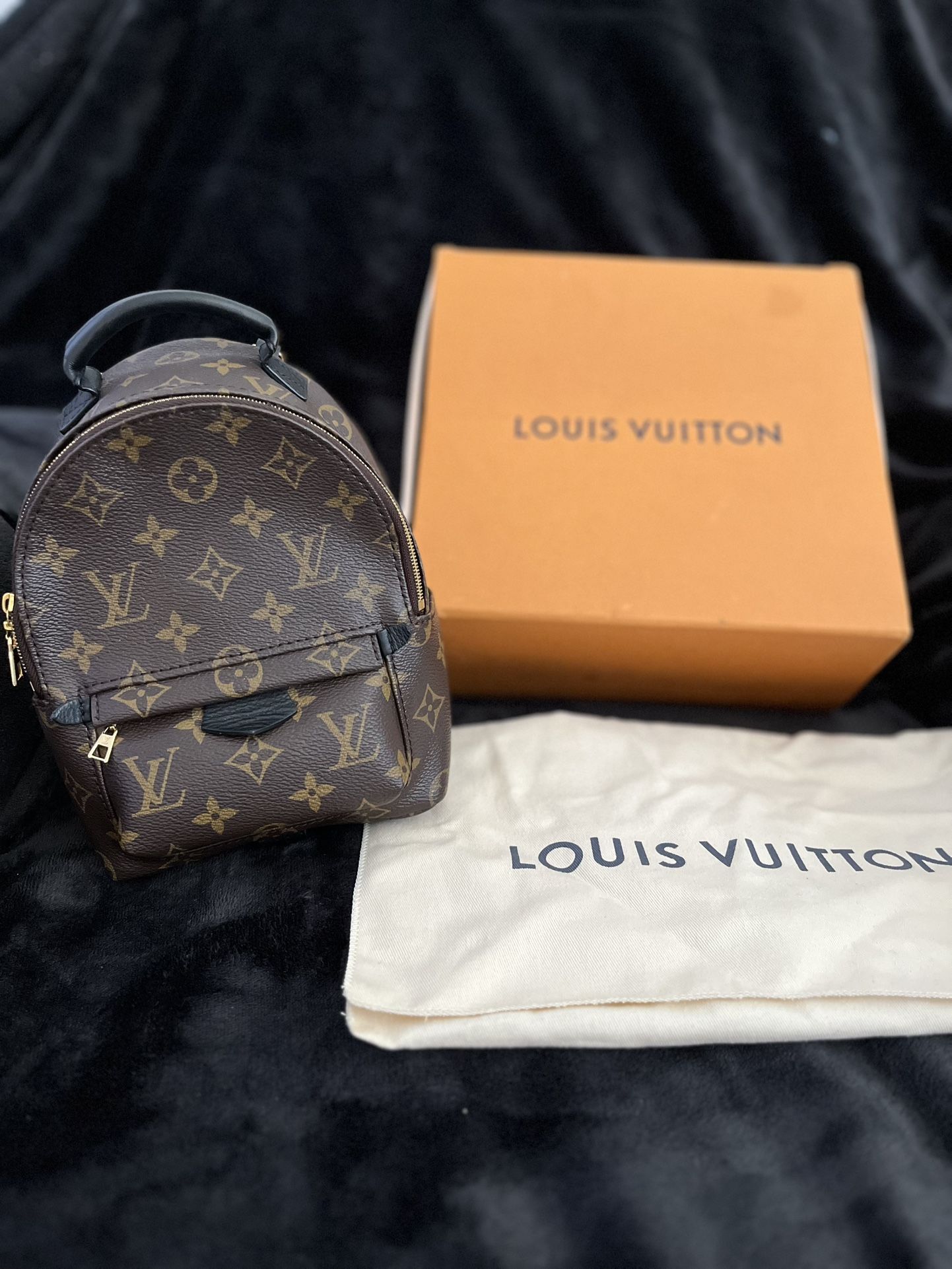 Louis Vuitton Backpack 