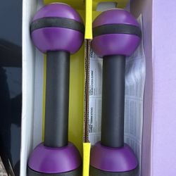 Zumba Fitness Weights
