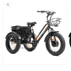 Electric Trike- DWMEIGI Zeus MG1703 750W Fat Tire 