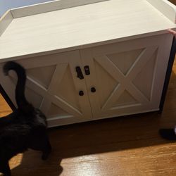 Cat Box 