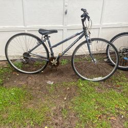 Schwinn Road Bike 