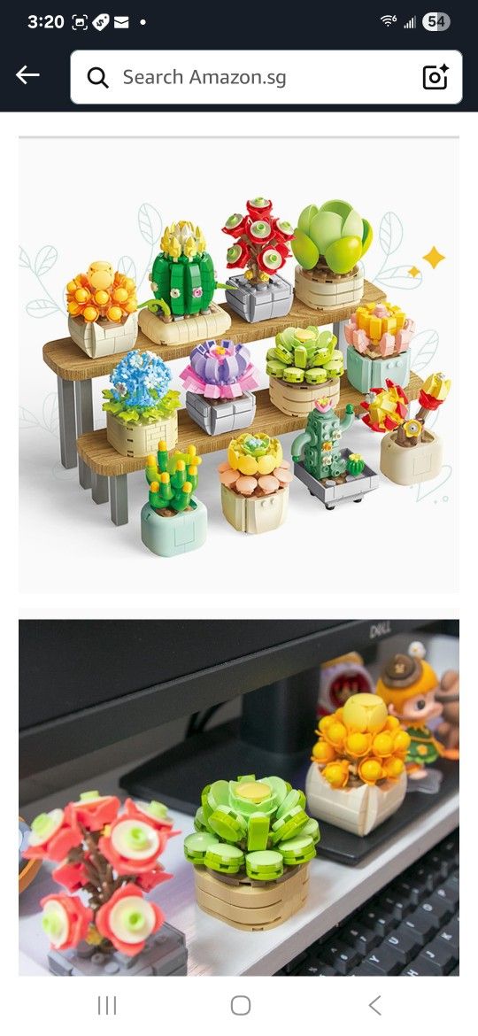 BIZNESMEN ππ¬π΅π± PCS Succulent Flower Building Set, 12 Beautifully Potted Plants to Stimulate Creativity and Fun for Girls and Boys Ages 6, 7, 8, 9,