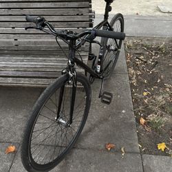 SE BIKES TRIPEL - OBO/$120