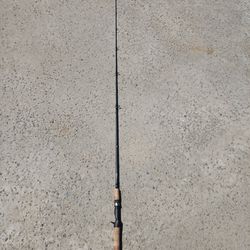 6'9" Shimano Calcutta Inshore Series Casting Rod ML