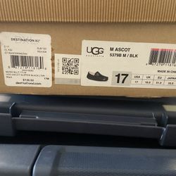 Men’s Ugg Ascot Size 17