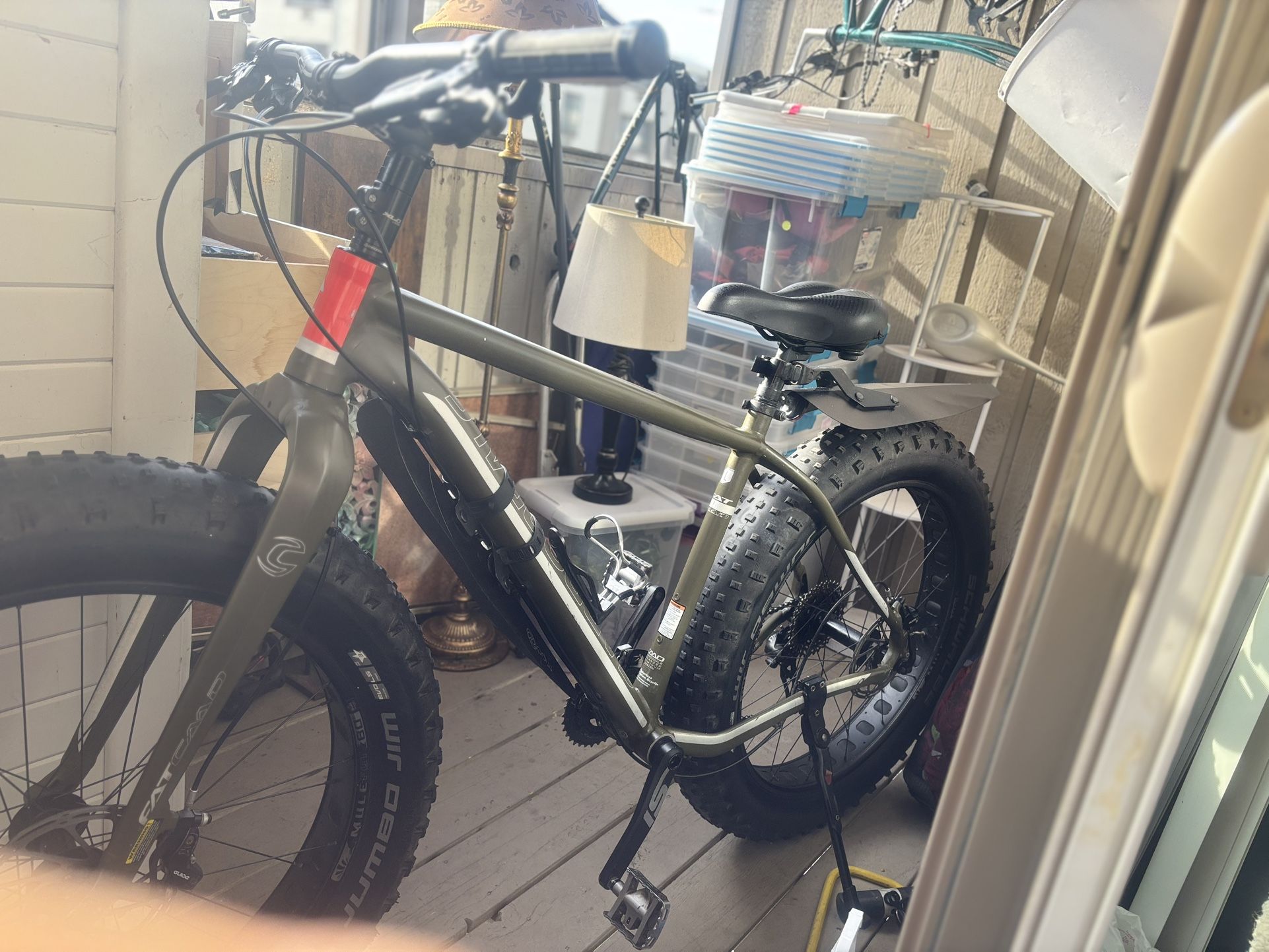 Cannondale Fat CAAD 2 with Hydroponic Disk Breaks