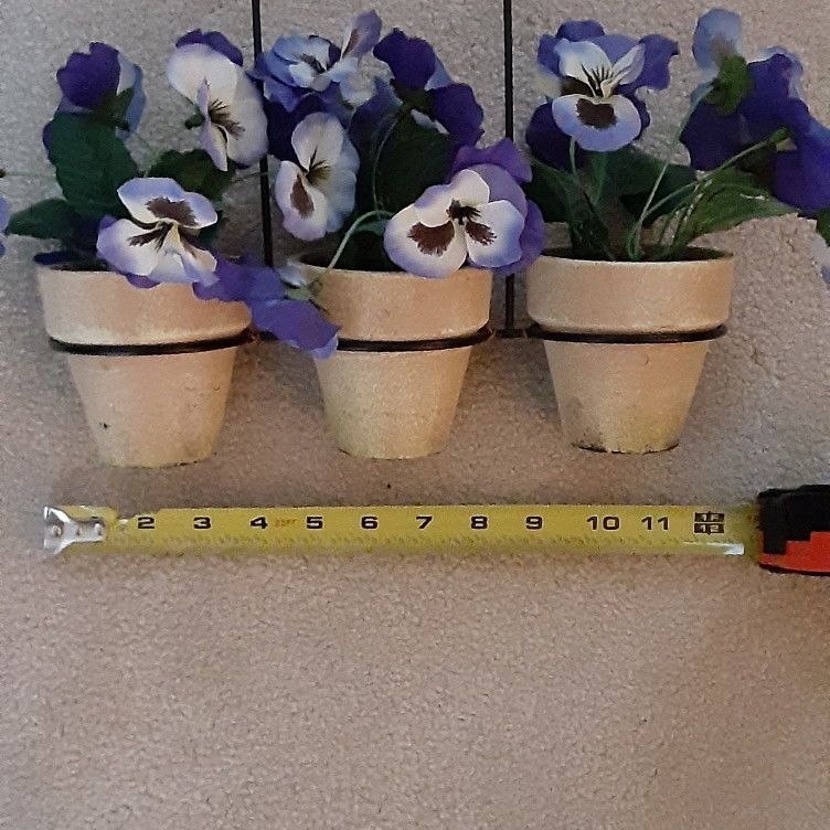Purple Pansy 3  Flower Pot Arrangement