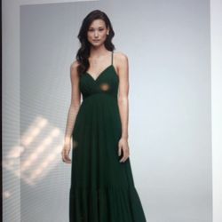 David’s Bridal Bridesmaid Dress 
