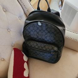 Mens Coach Backpack 