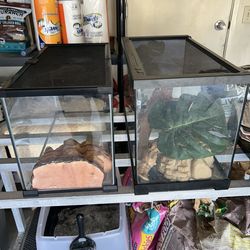 Reptile aquarium and equipment