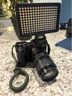 Canon R8 Camera Only No Lens