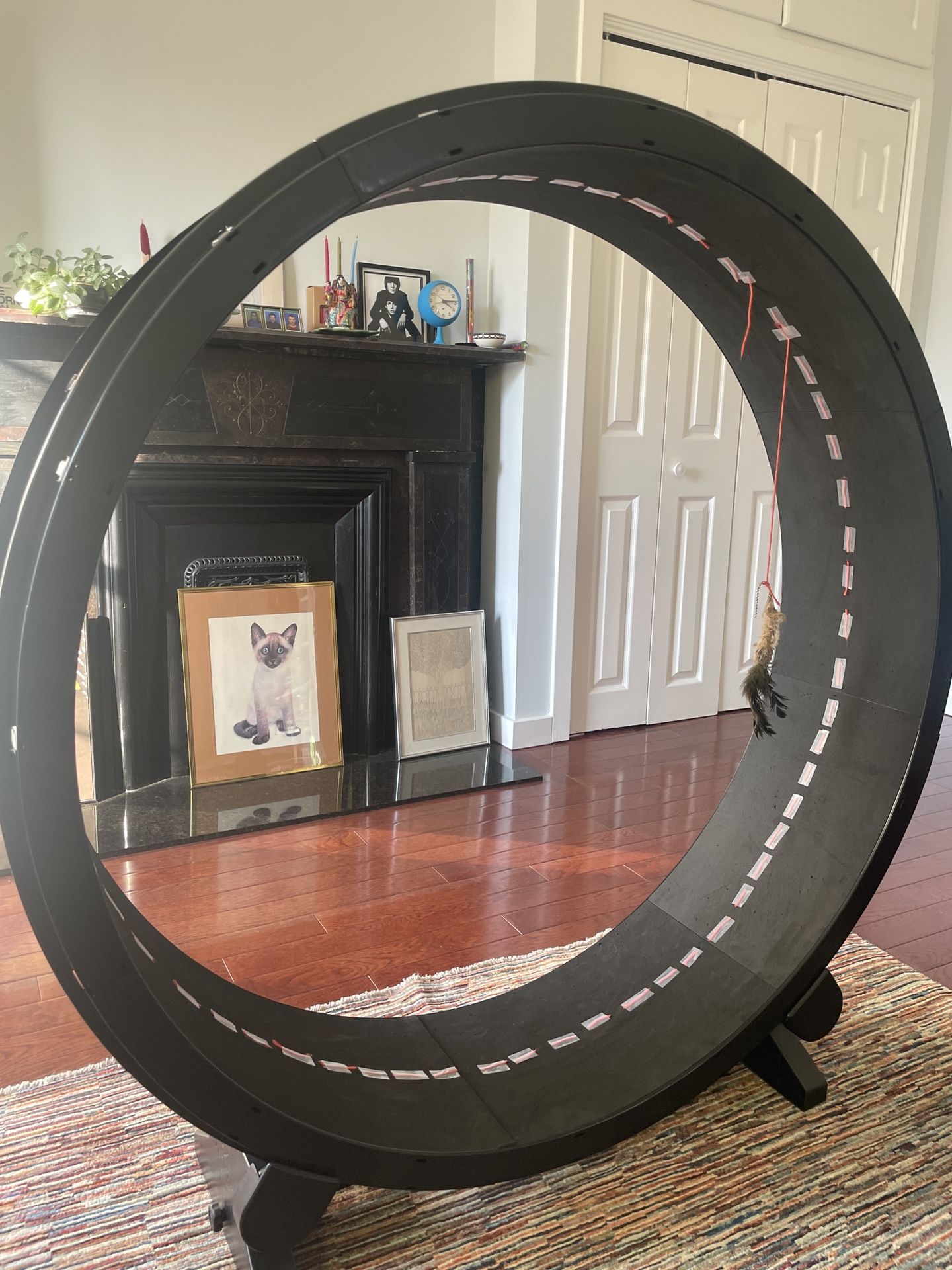 ONE FAST CAT Cat Exercise Wheel