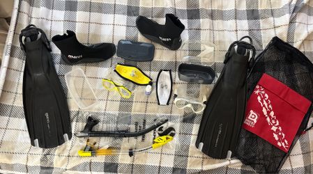 Scuba diving 🤿
