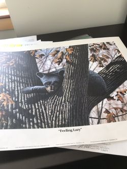 Limited edition Robert flowers print