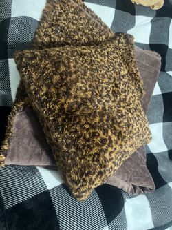 Throw pillow and blanket