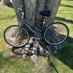 28” hybrid bike (medium frame)