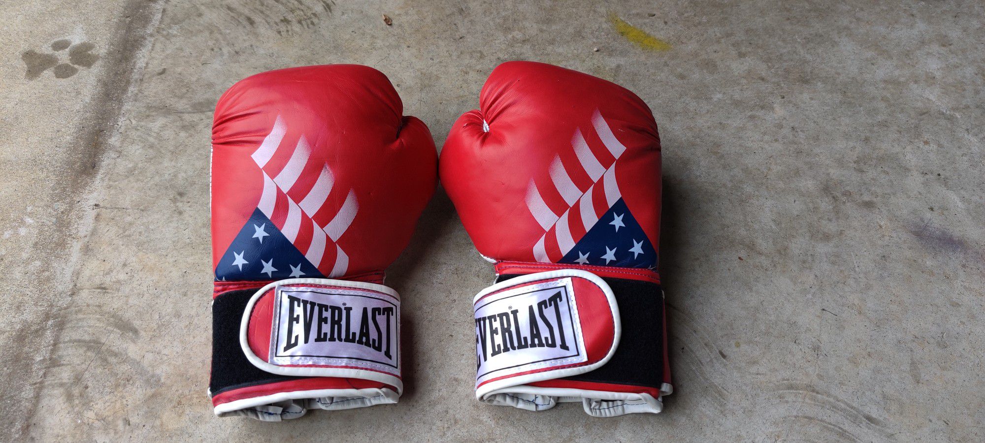 Everlast 14 oz USA Boxing Gloves