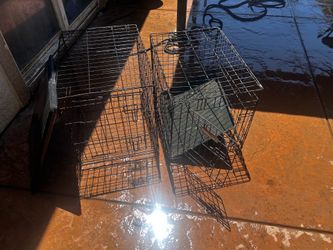 Small dog kennel