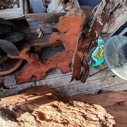 Redwood Burl Slabs 