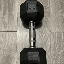 20 Pound Dumbbell 