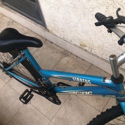 Stratus Pacific 26 Mountain Bike For ladies Custom Drawn MTB