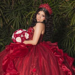 Quinceañera Dress