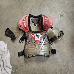 Kids Thor Chest Roost Protector