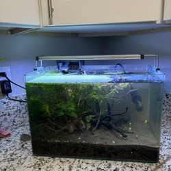 Rimless fish Tank As You See