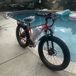 Beautiful Electric Bike