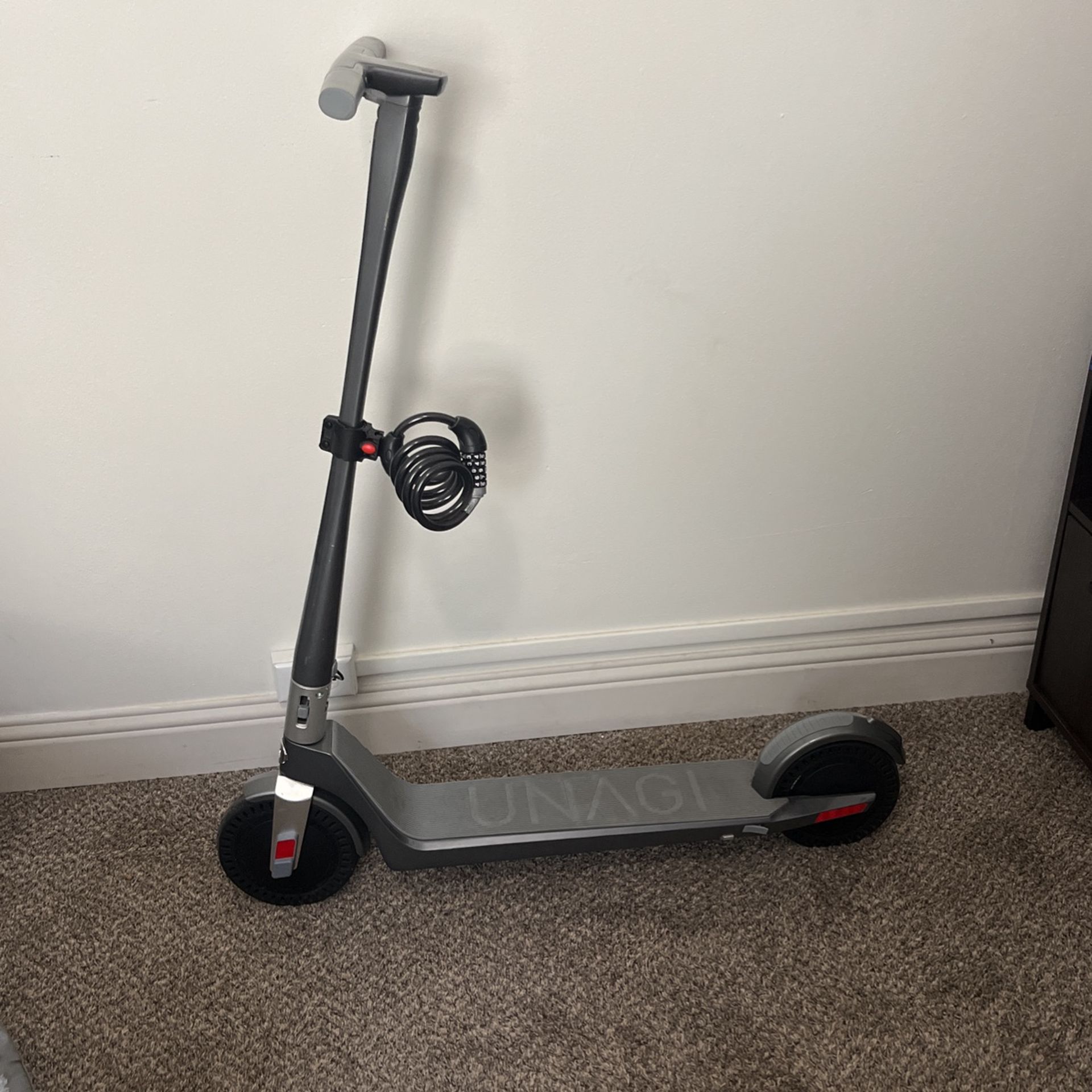 Electric Scooter Unagi