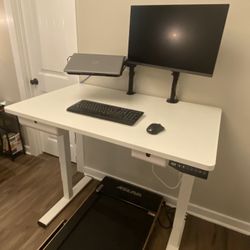 Standing Desk (Electric Adjustment)