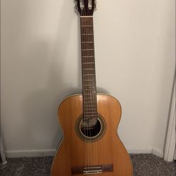 Acoustic Guitar