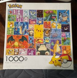 Pokémon puzzle two pieces missing