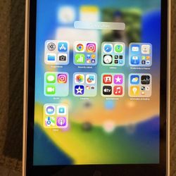 iPad (9thGeneration)Wi-Fi 256 GB