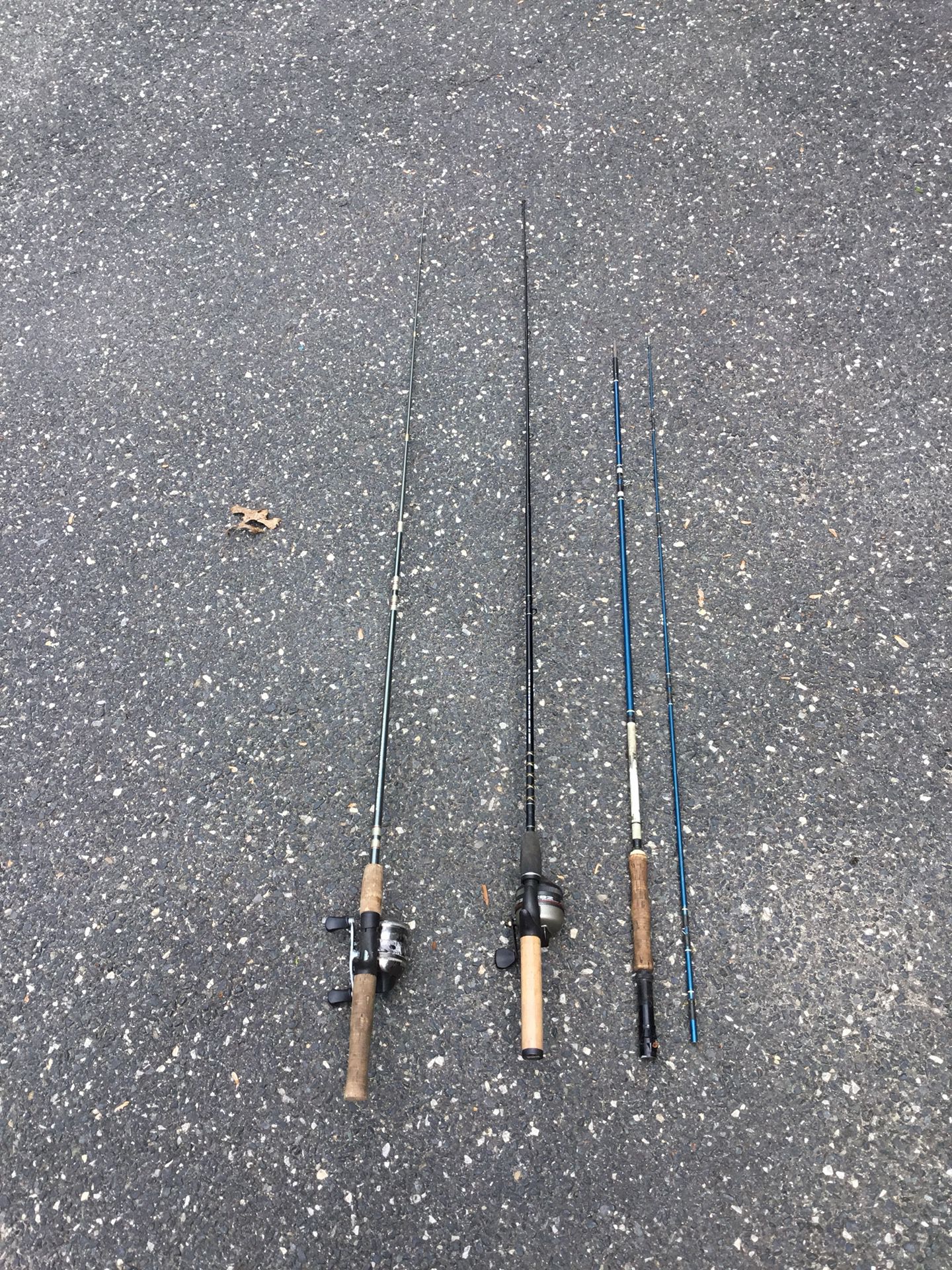 Fishing rod and reel flyrod