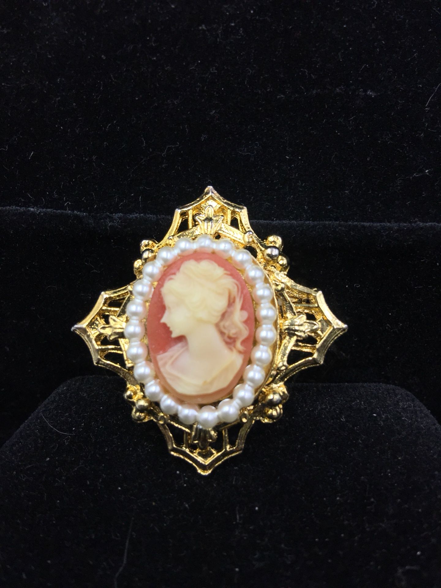 Retro style cameo brooch