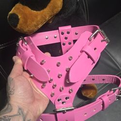 Dog Harness