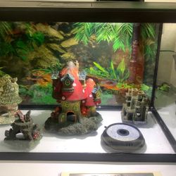 10 Gallon Fish Tank 