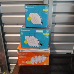 Light Bulbs / Light Fixtures LED Etc