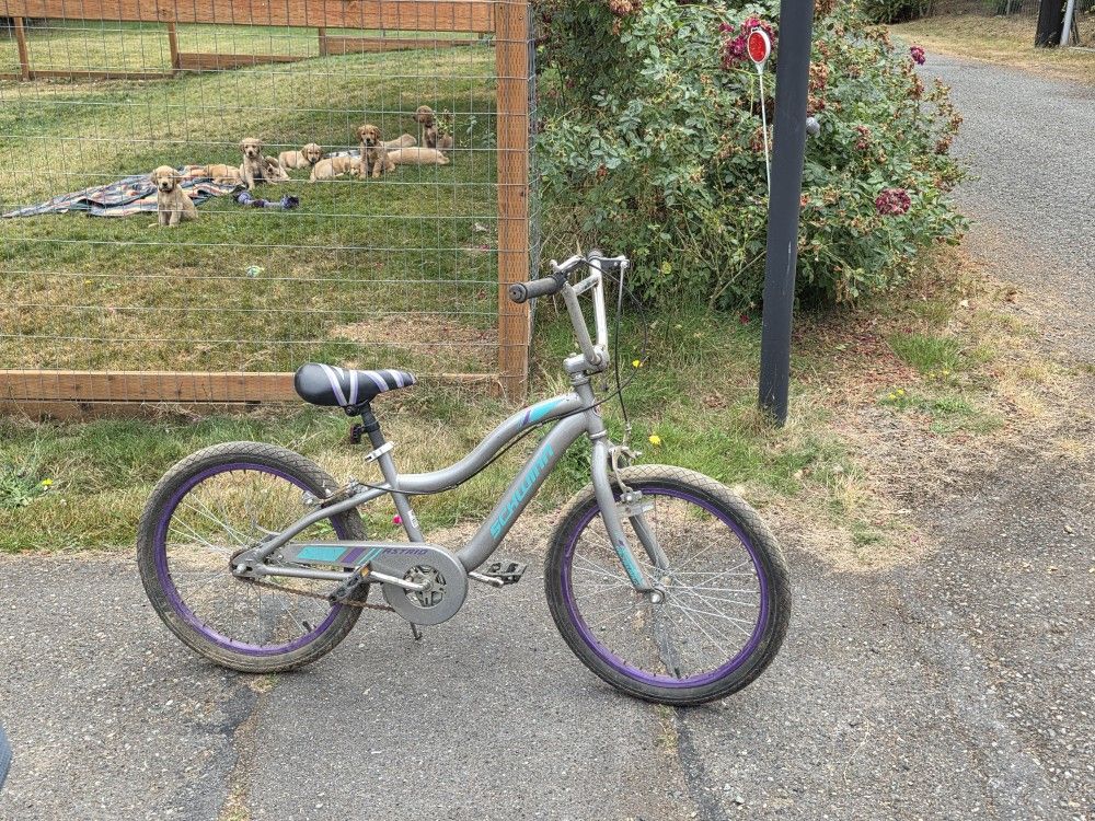 Girls Bike
