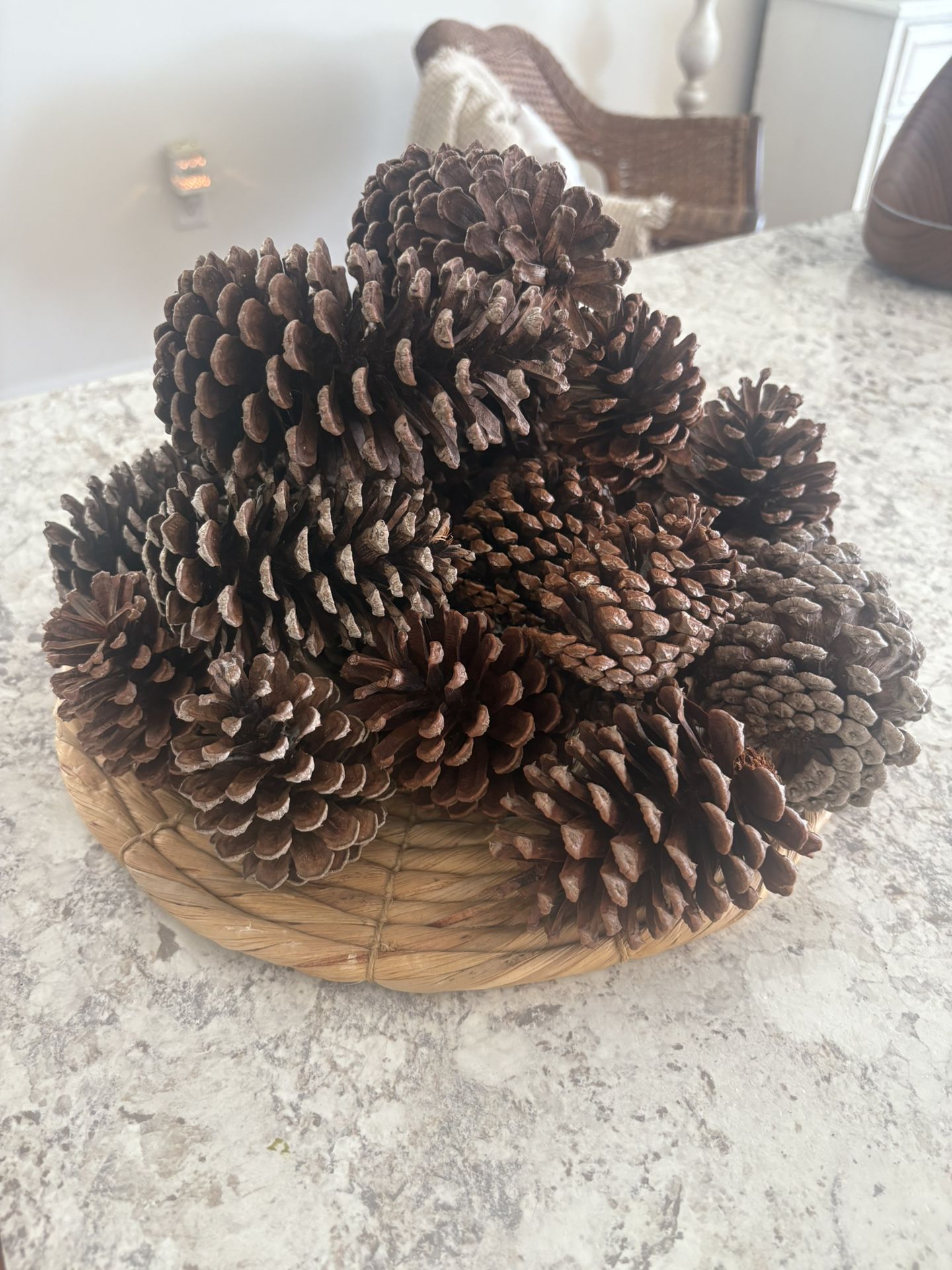24PCS Christmas Natural Pine Cones. Never used. Plate is not included. $10.
