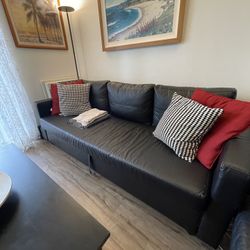 Modern Black Leather Sofa With Storage (Sleeper sofa)