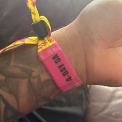 Got Lollapalooza Two Wristbands
