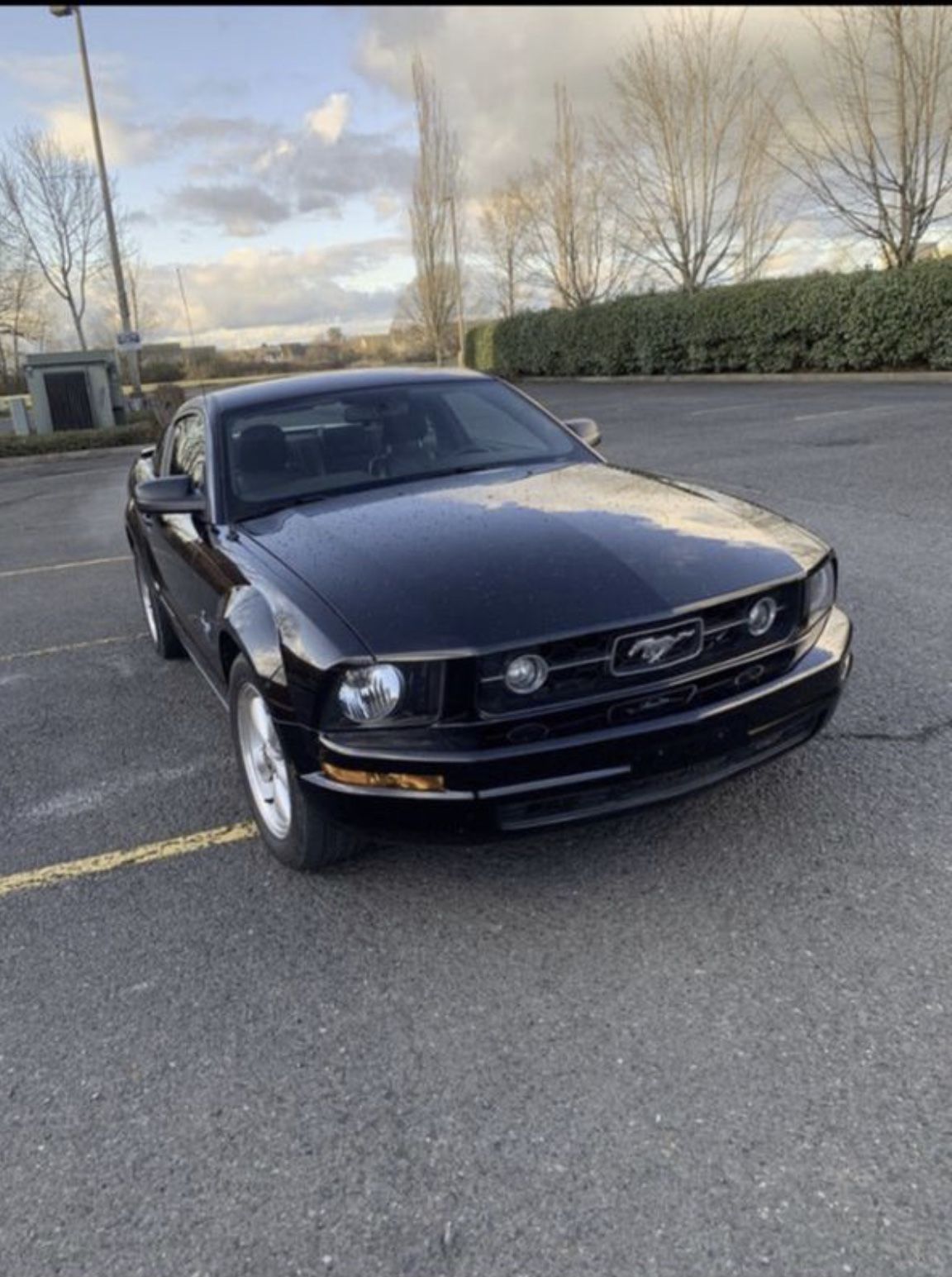 2007 Ford Mustang