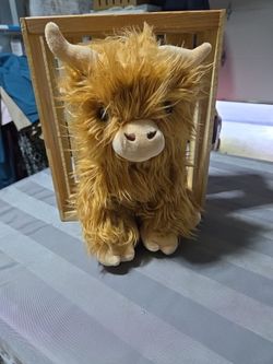 Helena Highland cow